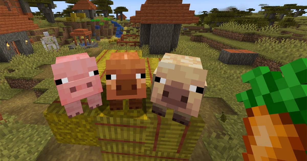 Nuovi tipi di maiali in Minecraft