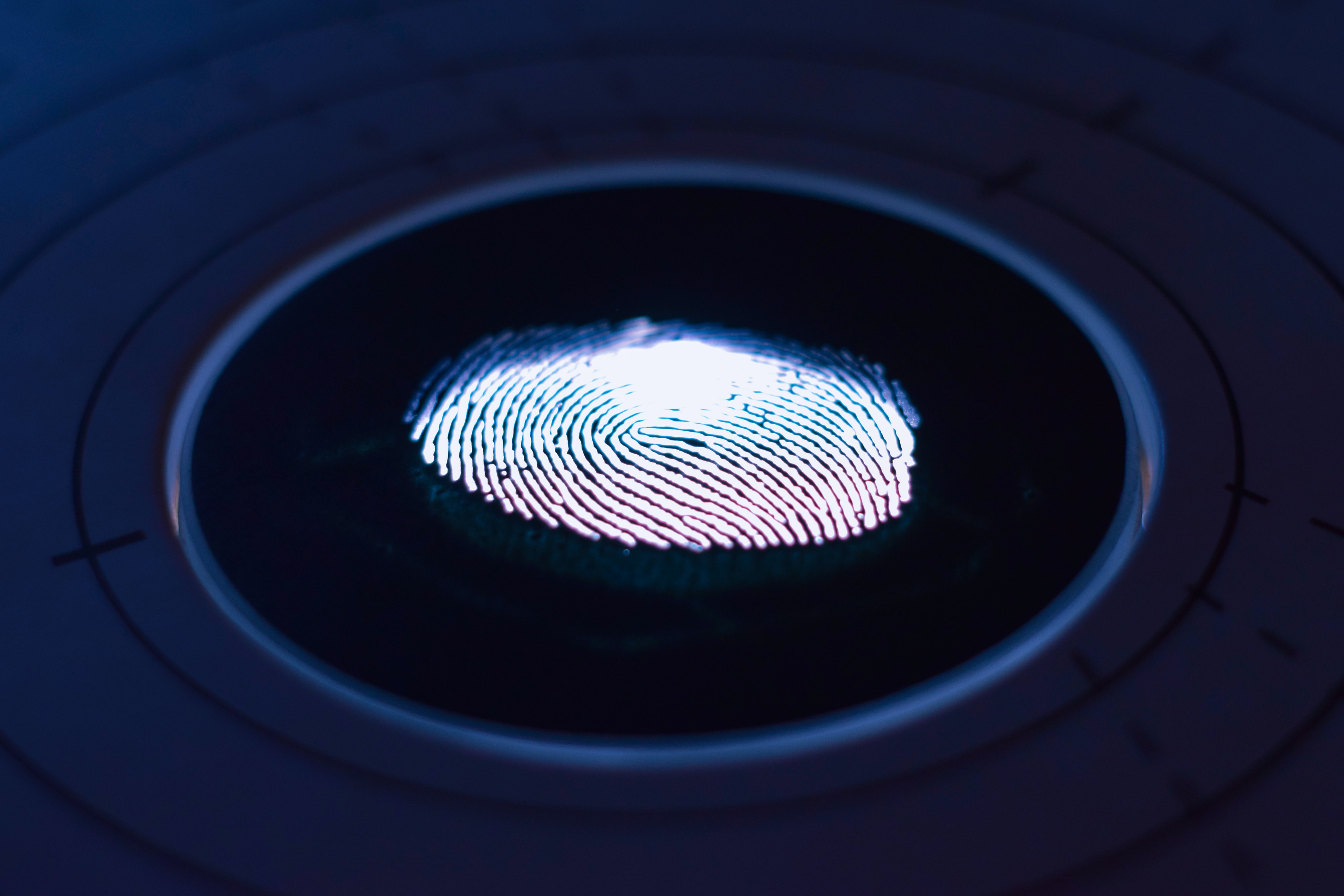 L'intelligenza artificiale ha scoperto somiglianze tra le impronte digitali di una persona, cosa che prima si riteneva impossibile L'intelligenza artificiale ha scoperto somiglianze tra le impronte digitali di una persona, cosa che prima si riteneva impossibile