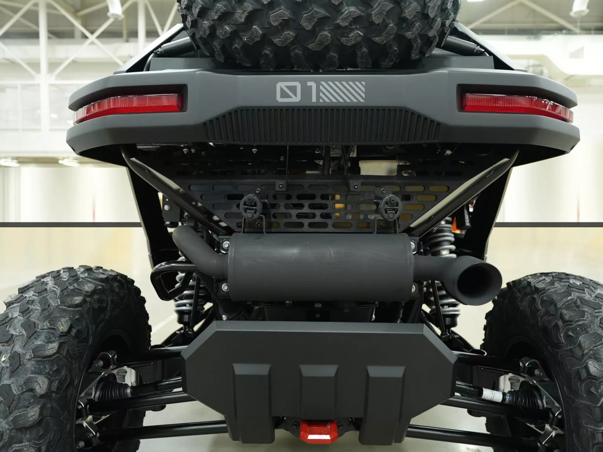 Vista posteriore di Scion 01