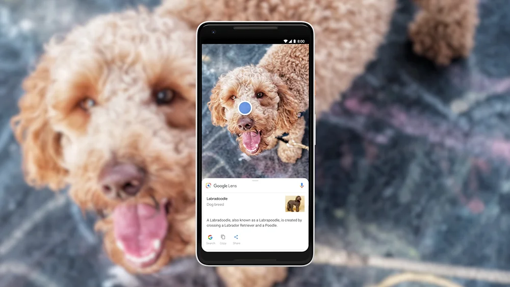 Google Lens offre una funzione di generazione di risposte basate sull'intelligenza artificiale per la ricerca visiva Google Lens offre una funzione di generazione di risposte basate sull'intelligenza artificiale per la ricerca visiva