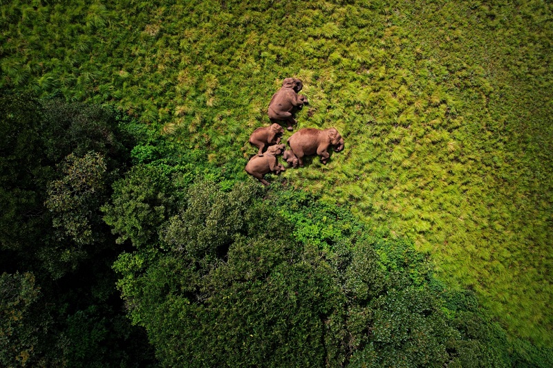 Il mondo attraverso gli occhi dei droni: ecco i migliori contributi dei Drone Photo Awards 2024-8 Il mondo attraverso gli occhi dei droni: ecco i migliori contributi dei Drone Photo Awards 2024-8