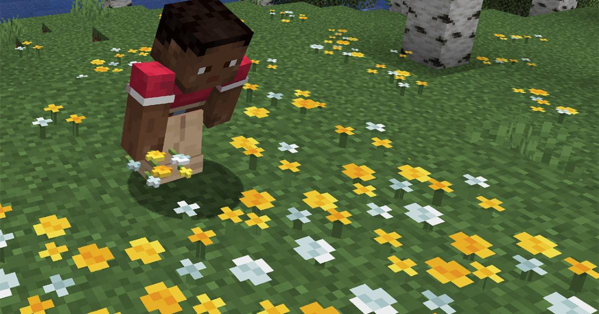 Paesaggio selvaggio in Minecraft con nuovi colori Paesaggio selvaggio in Minecraft con nuovi colori