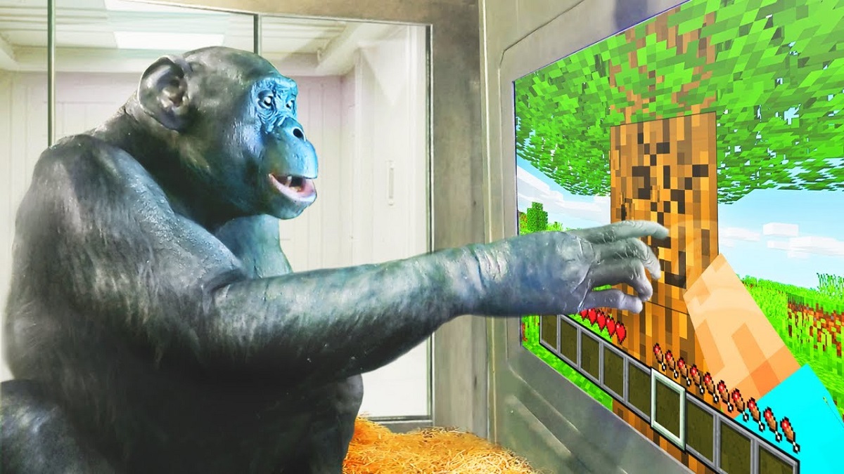 Una scimmia che gioca a Minecraft - e non è uno scherzo! È stato pubblicato un video mozzafiato di uno scimpanzé che gioca a Minecraft. Una scimmia che gioca a Minecraft - e non è uno scherzo! È stato pubblicato un video mozzafiato di uno scimpanzé che gioca a Minecraft.