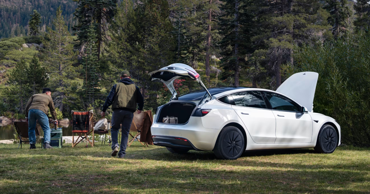 Tesla 3 Standard Model - auto elettrica accessibile