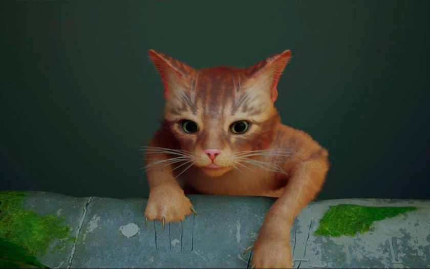 La storia di Stray: come un gatto di una cybercittà è diventato la scoperta dell'anno e ha influenzato l'industria dei videogiochi-3 La storia di Stray: come un gatto di una cybercittà è diventato la scoperta dell'anno e ha influenzato l'industria dei videogiochi-3