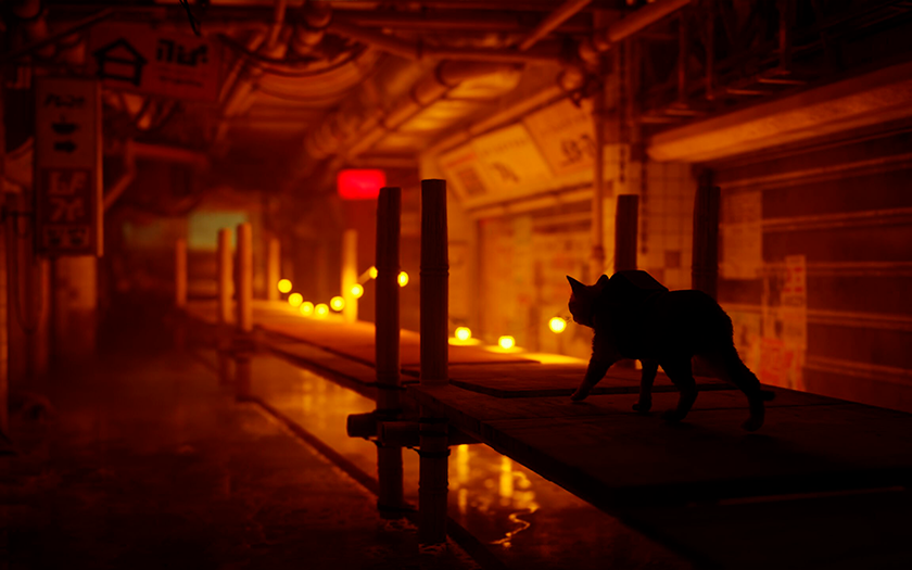 La storia di Stray: come un gatto di una cybercittà è diventato la scoperta dell'anno e ha influenzato l'industria dei videogiochi-7 La storia di Stray: come un gatto di una cybercittà è diventato la scoperta dell'anno e ha influenzato l'industria dei videogiochi-7