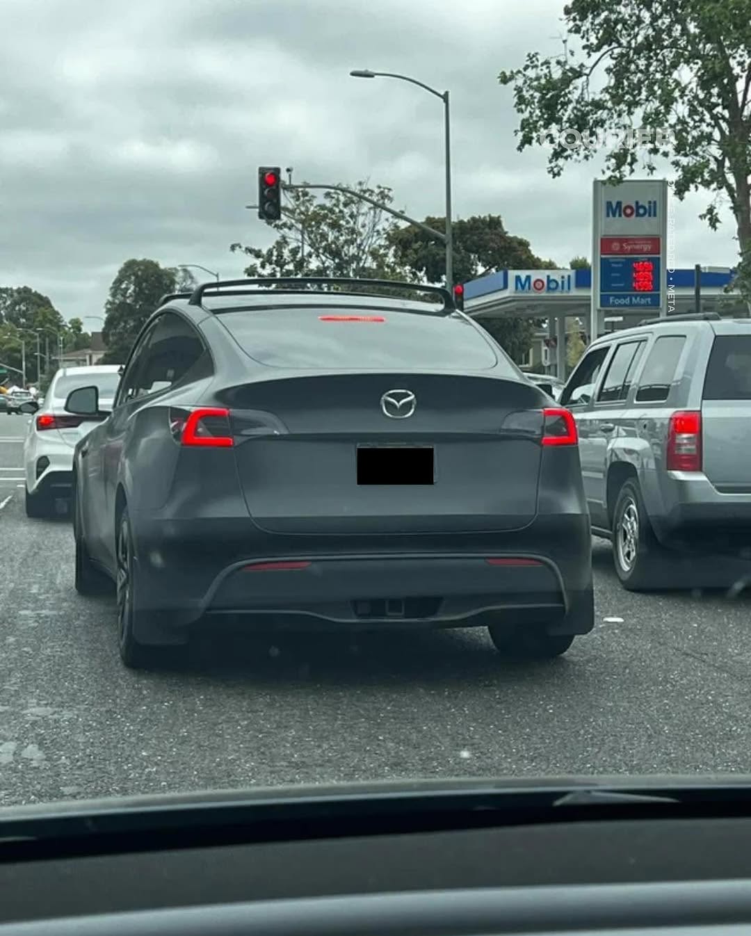 Protesta contro Elon Musk attraverso il marchio di un veicolo Protesta contro Elon Musk attraverso il marchio di un veicolo
