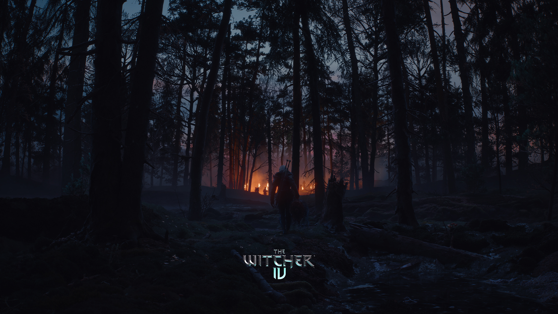 The Witcher 4 - Carta da parati 1