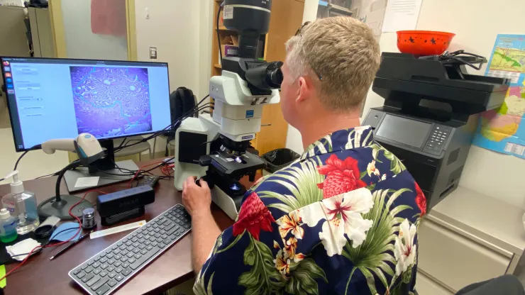Google e il Pentagono hanno sviluppato un microscopio basato sull'intelligenza artificiale per la diagnosi del cancro-4 Google e il Pentagono hanno sviluppato un microscopio basato sull'intelligenza artificiale per la diagnosi del cancro-4