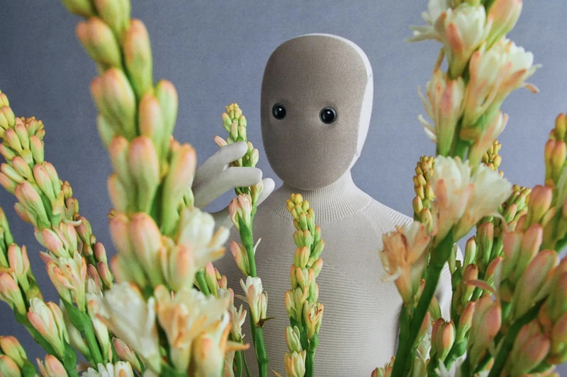 Funzionalità del NEO Home Robot