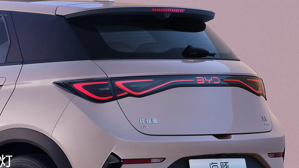 Vista interna della BYD Dolphin