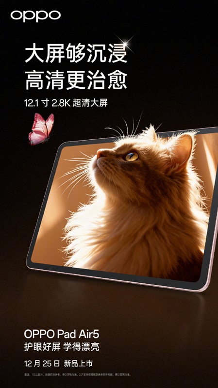 Teaser del display Oppo Pad Air 5